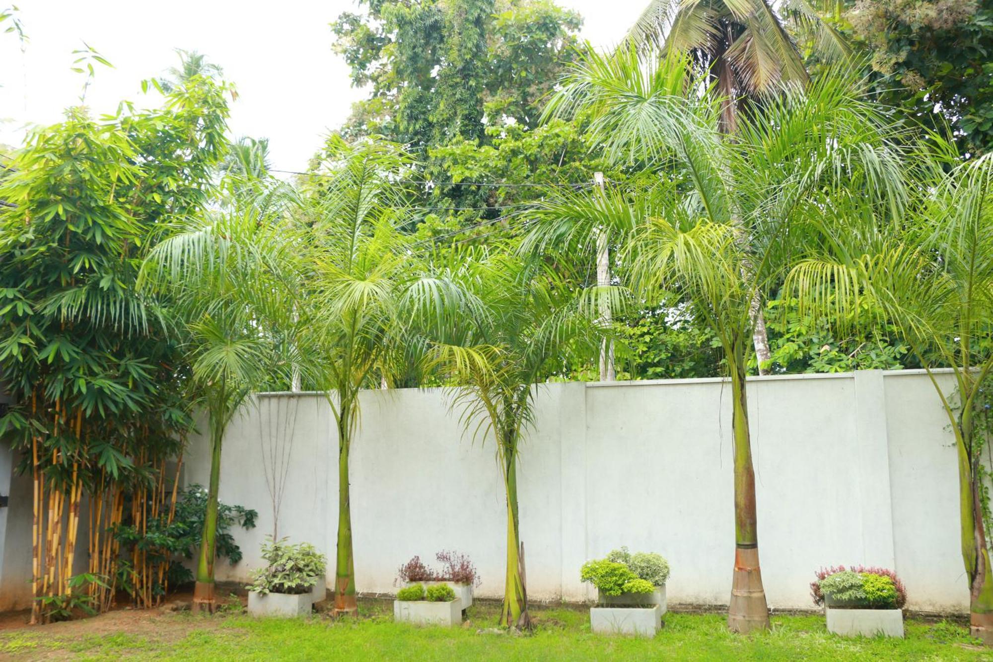 Venus Heaven Luxurious Villa Tangalle Exterior foto