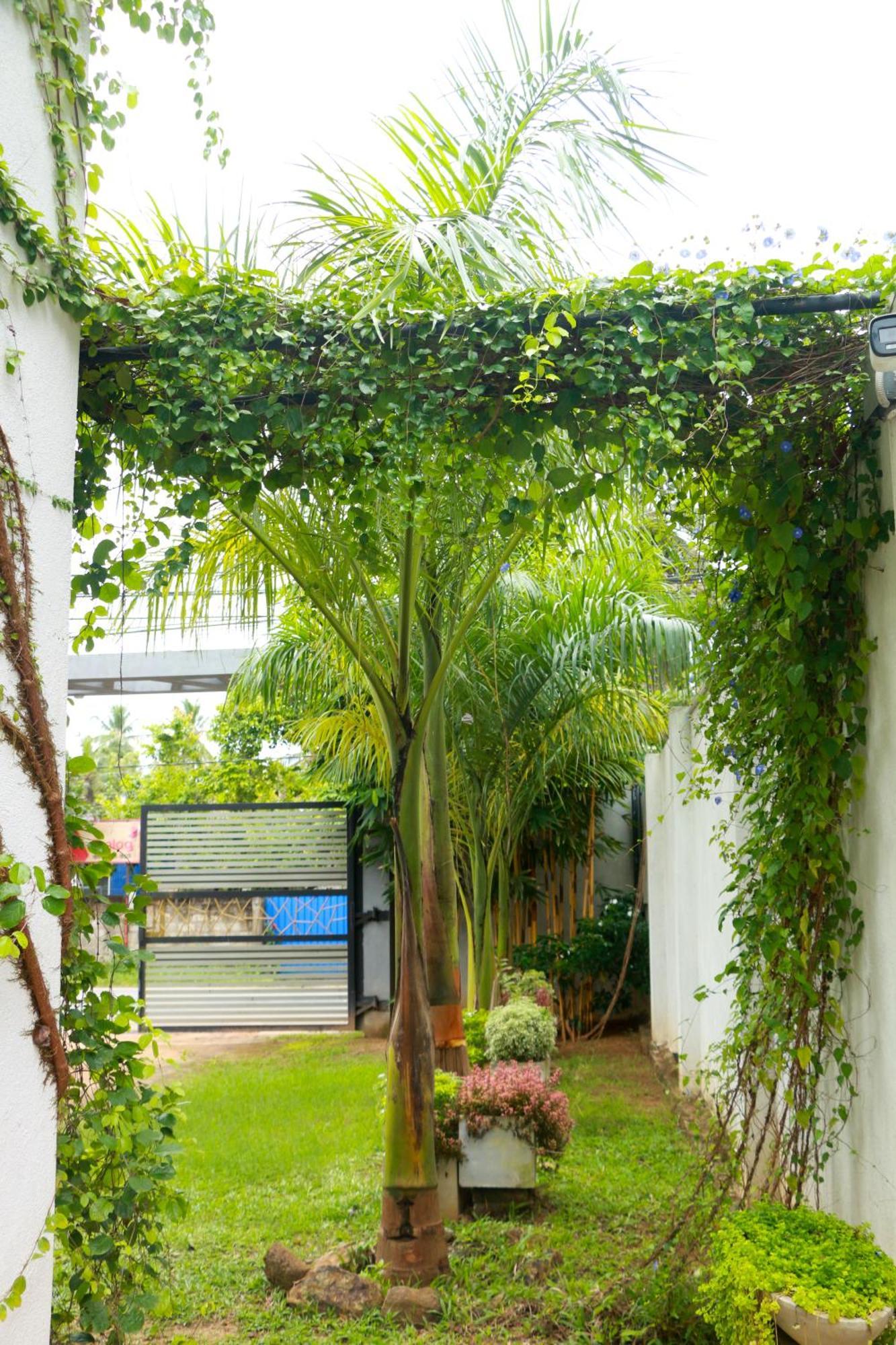 Venus Heaven Luxurious Villa Tangalle Exterior foto